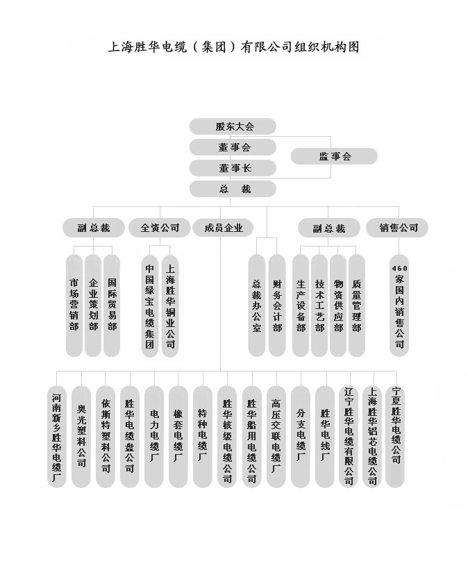 Kaiyun电缆组织机构